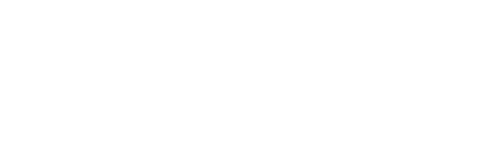 BLC Telecom